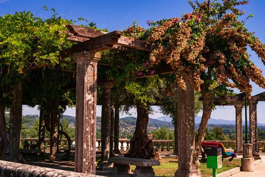 Beautiful and flowery viewpoint where some vines give shelter from the sun. Photography made in Tui, Pontevedra, Spain.