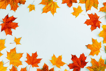 Autumn season. Yellow and bright orange autumn leaves flat lay on blue. Thanksgiving, fall harvest time concept with copy space. Foliage border frame with copy space background