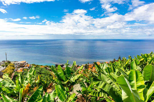 Portugiesisch Für Den Urlaub Pdf รูปภาพPortugiesisch – เลือกดูภาพถ่ายสต็อก เวกเตอร์ และวิดีโอ5,092