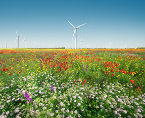 Wind power plant and green meadow at day.