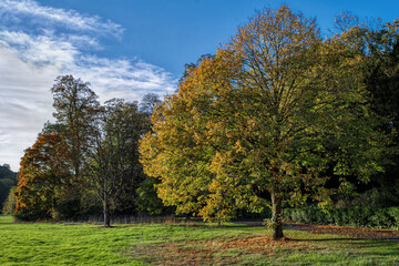 Autumn Countryside Bathed in sunlight