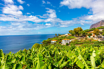 Unterwegs auf der Stadt Levadas von Funchal mit einen fantastischen Ausblick auf den Atlantik - Madeira - Portugal 