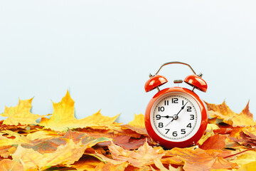 Autumn season. Yellow and bright orange autumn leaves on blue. Alarm clock, fall harvest time...