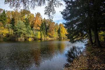 Fototapeta na wymiar autumn in the woods and lake