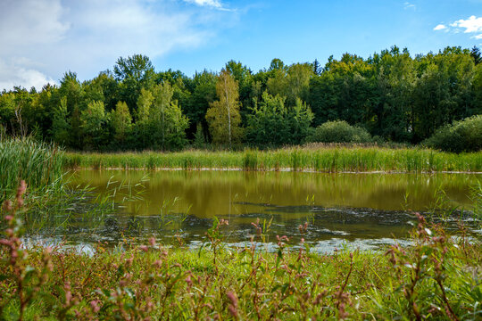Teichlandschaft Holscha bei Neschwitz