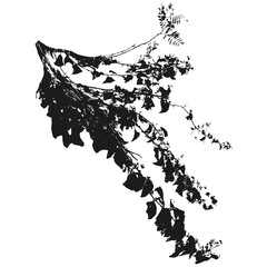 Realistic branches a silhouette of bare dry twigs,bushes and withering autumn nature.