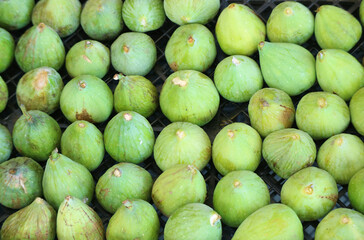 Rows of vibrant green fresh ripe figs for sale on the local market