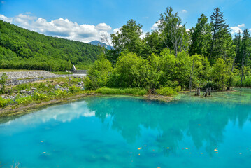 Fototapeta na wymiar 日本の北海道にある美瑛青い池の美しい風景