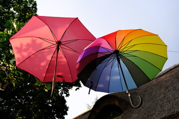 colourful umbrellas in the sunshine