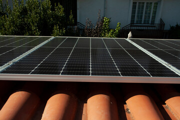 solar panels working at full capacity on a sunny day