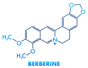 Berberine concept chemical formula icon label, text font vector illustration