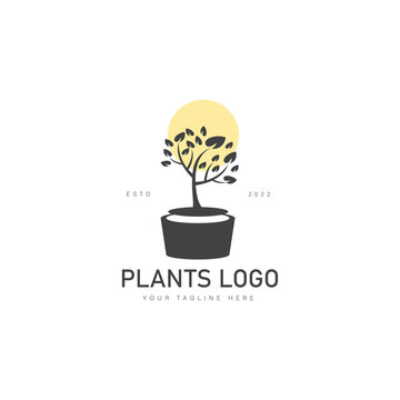 Black Plant Pot With Sun Logo Design Icon Illustration