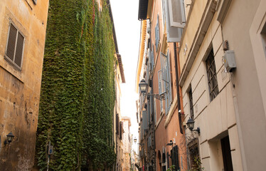 View of old cozy street in Rome, Italy. Architecture and landmark of Rome. Postcard of Rome.