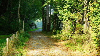 Chemin pédestre nature
