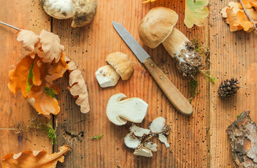 Steinpilze Hintergrund Pilz Steinpilz putzen