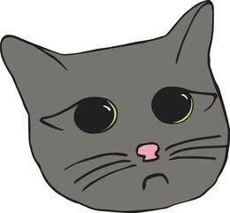 cute cat face with big black eyes