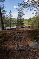 Wooden plank placed on top of rocks as a makeshift bench next to a lake in Repovesi National Park, Kouvola, Finland