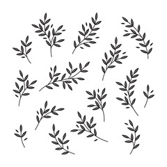 Hand drawn set of branches silhouettes in graphic style isolated vector illustration