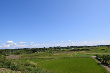 埼玉県秋ヶ瀬田んぼ 田園地帯