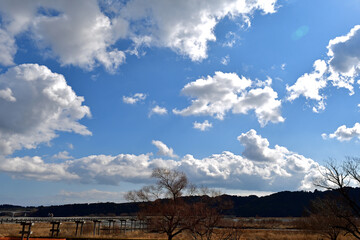 【静岡県島田市】冬の大井川と蓬莱橋