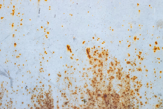 Rusted and corroded on metal white background