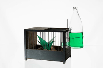 Antique wooden bird cage with origami green crane bird. Glass bottle with green water. White background
