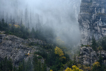 Tatry - mgła w Dolinie Kościeliskiej - 538331338