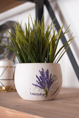 a flower in a pot with lavender on the shelf