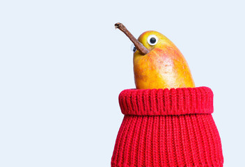 Cute pear character wearing a red sweater