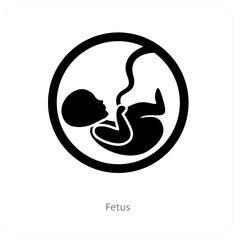 fetus