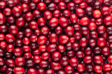 Cranberry bio background, food background.
