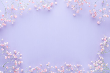 Obraz na płótnie Canvas Beautiful flower background of pink gypsophila flowers. Flat lay, top view. Floral pattern.