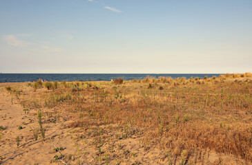 Fototapeta na wymiar landscape with arid vegetation due to drought near the sea