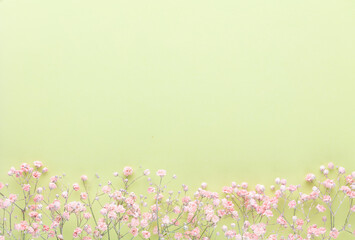 Fototapeta na wymiar Beautiful flower background of pink gypsophila flowers. Flat lay, top view. Floral pattern.