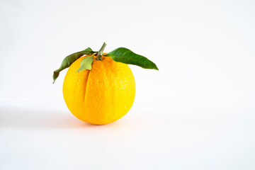 Fresh orange fruit with leaf