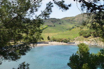 L'anse des Paulilles &agrave; Port-Vendres (Pyr&eacute;n&eacute;es Orientales - Occitanie - France)