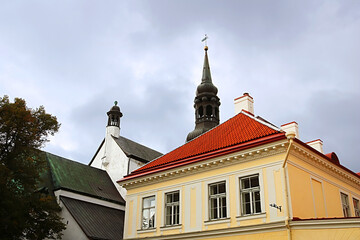 Fototapeta na wymiar View of parts of St. Mary's Cathedral, Tallinn, Estonia