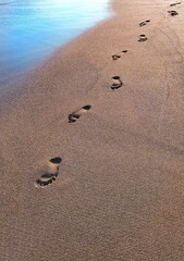 Fototapeta na wymiar footsteps on the beach