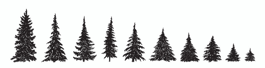 Pine tree silhouettes collection, hand drawn doodle sketch, black and white vector illustration - 538338394