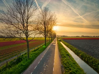 Foto auf Acrylglas Countryside sunset - Kerkweg, Tuitjenhorn, The Netherlands. © Alex de Haas