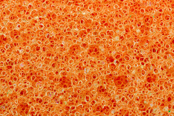 sponge detail texture, sponge texture background