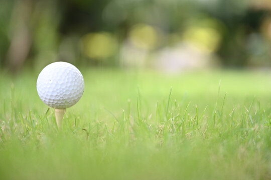 Image of white golf ball and green lawn People all over the world play golf during their holidays for health and relaxation. Golf ball placed on a green lawn in a golf course
