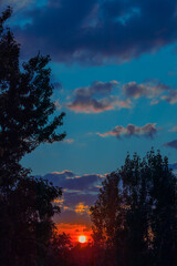 Fototapeta premium colorful sunset. The sun shines between the trees