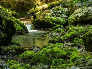 stream of Galbenei gorge, Apuseni national park, Romania