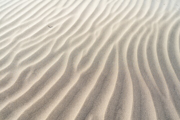 Fototapeta na wymiar The dunes of Famara beach (Playa de Famara), Lanzarote. Canary Islands. Spain.