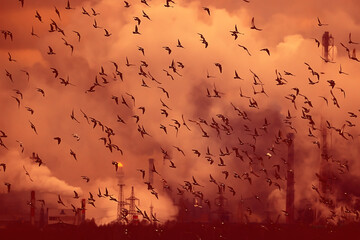birds a lot of smoke air pollution plant nature ecology