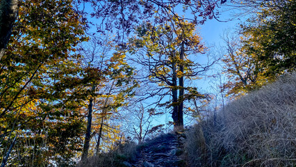 Magical autumn nature view from the mountain Klic in Lusatian Mountains, Czech Republic