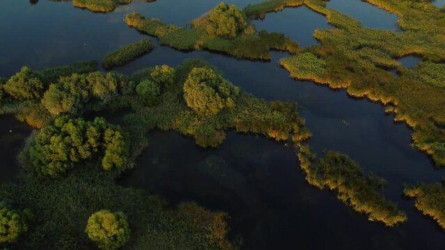  Delta Vacaresti Swamp and lakes