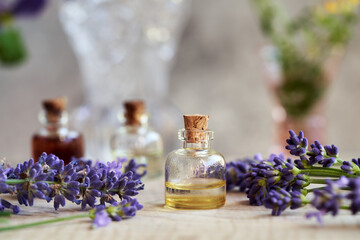 A transparent bottle of essential oil with blooming lavender plant