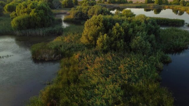 Swamp and lakes - Delta Vacaresti, Romania